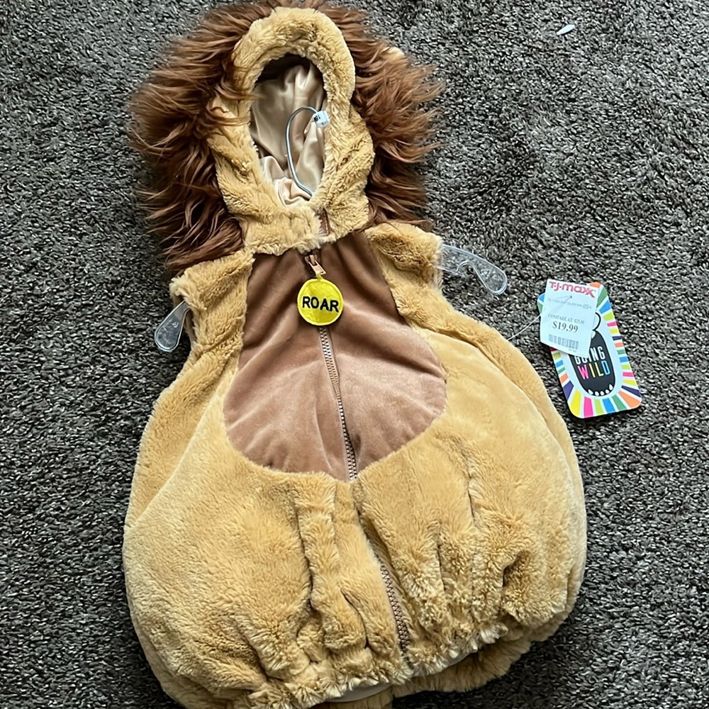 Baby Lion Halloween costume